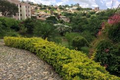 IMG_6508 (Copy)