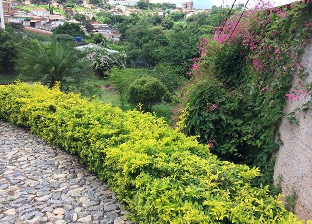 IMG_6509 (Copy)