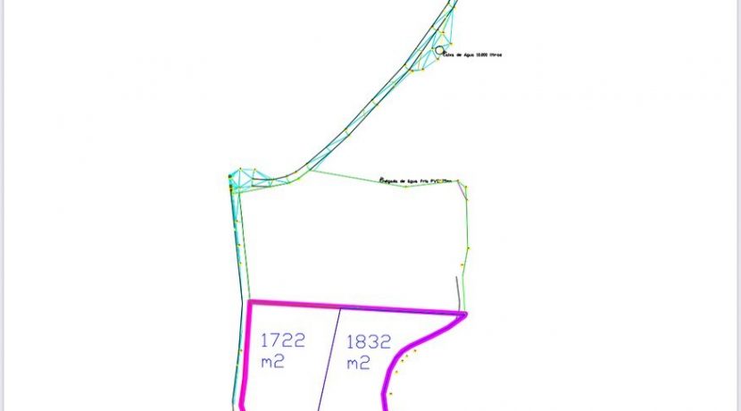 169932196_774944306487040_4298212094887208954_n